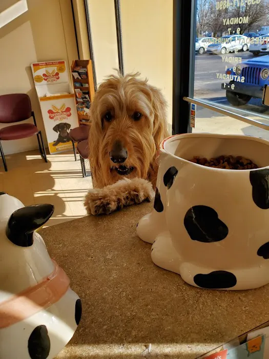 Shelby Street Veterinary Hospital Picture 6