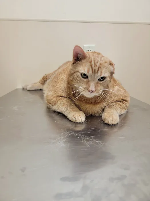 Noah's Ark Animal Clinic of Florence Picture 8