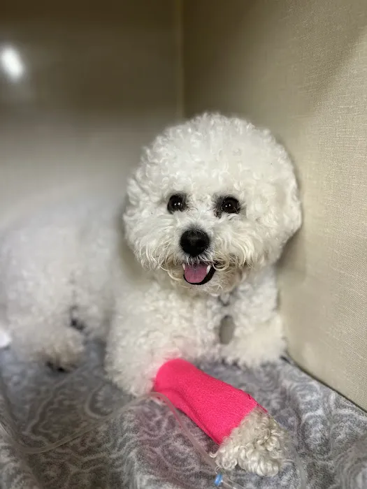 Paws & Claws Animal Hospital Picture 7