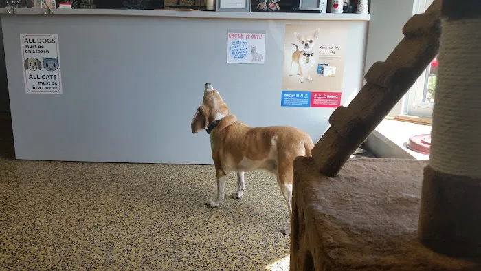 Paws & Claws Animal Hospital Picture 2
