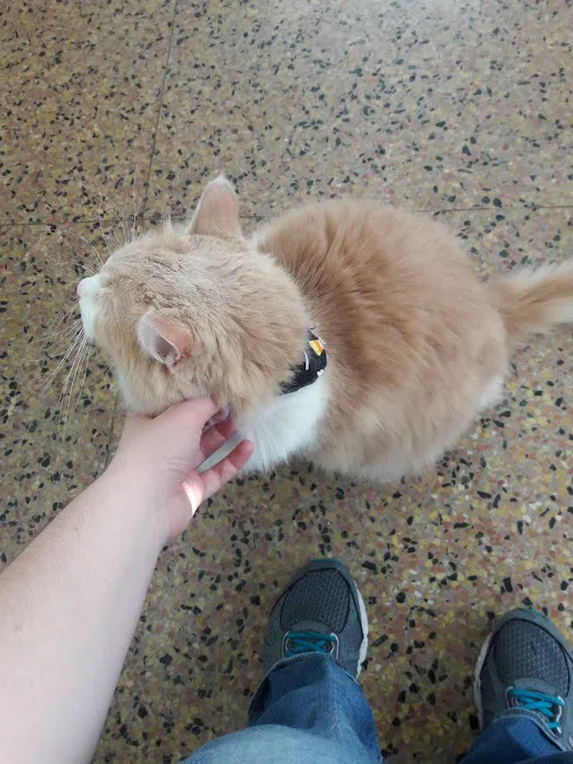 Paws & Claws Animal Hospital Picture 10
