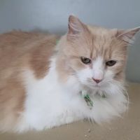 Paws & Claws Animal Hospital ico