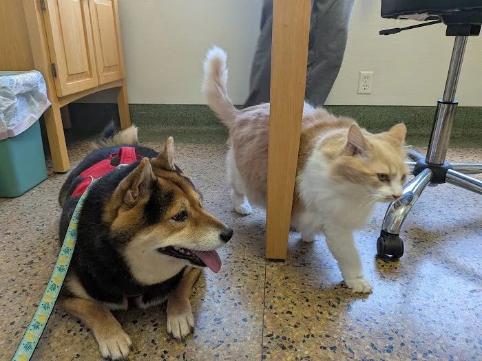 Paws & Claws Animal Hospital Picture 3