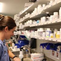 PetWow Grooming and Veterinary Care - Highland Heights ico