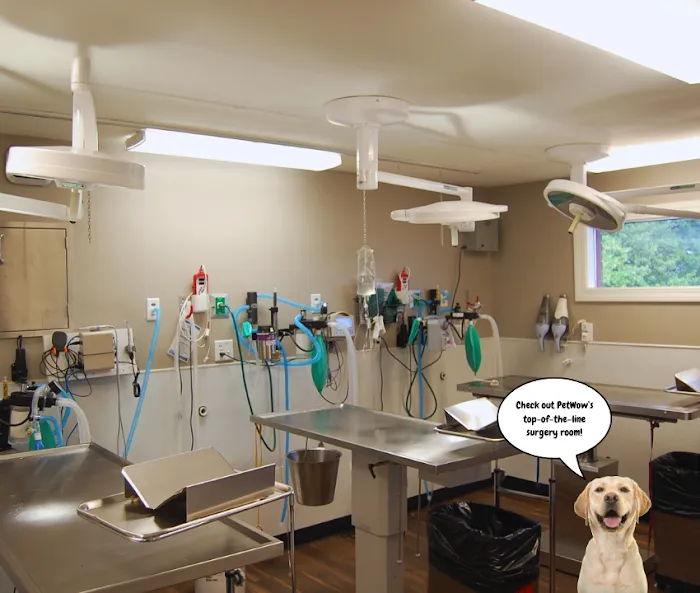 PetWow Grooming and Veterinary Care - Highland Heights Picture 5