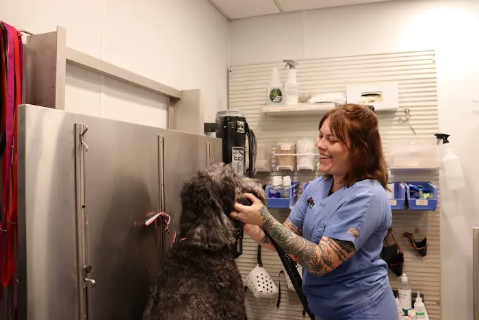 PetWow Grooming and Veterinary Care - Highland Heights Picture 3