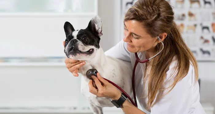 PetWow Grooming and Veterinary Care - Highland Heights Picture 7