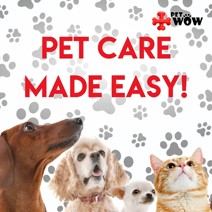 PetWow Home Veterinary Care Picture 8