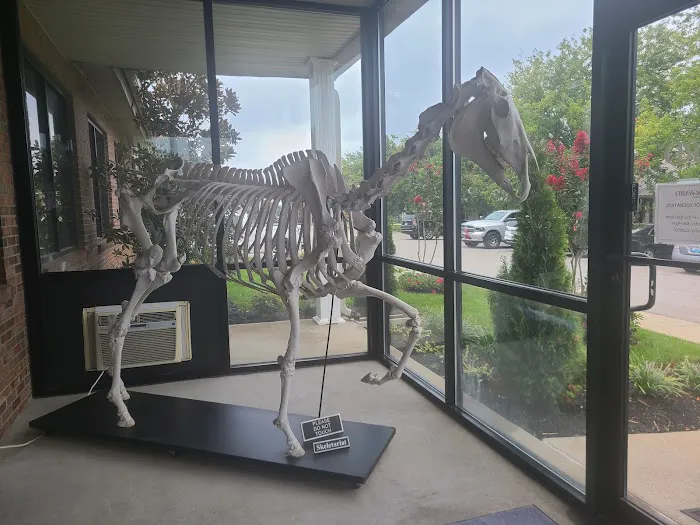 Hagyard Equine Medical Institute Picture 2
