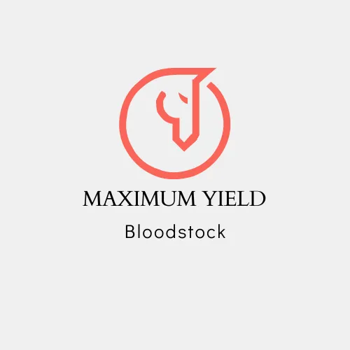 Maximum Yield Bloodstock Picture 2