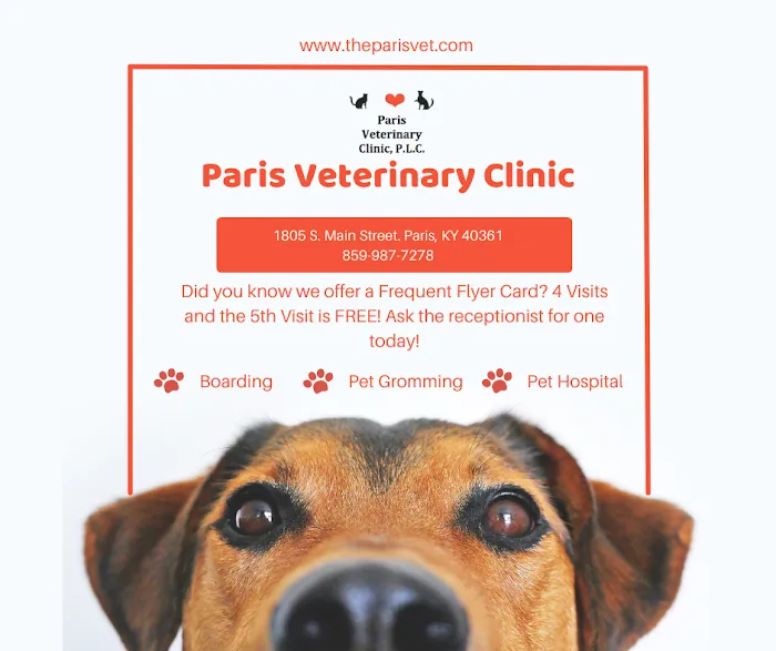 Paris Veterinary Clinic, PLC Picture 8
