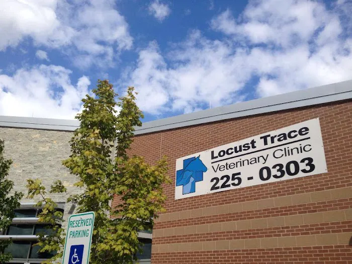 Locust Trace Veterinary Clinic Lexington KY Picture 5