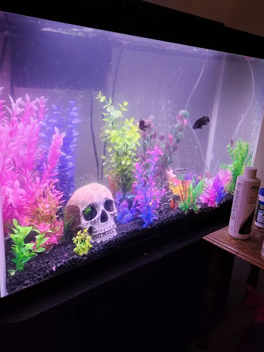 World of Pets LLC Picture 5