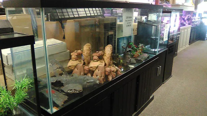 World of Pets LLC Picture 2