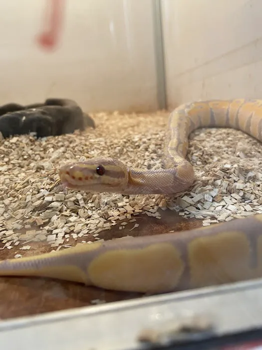 World of Pets LLC Picture 4