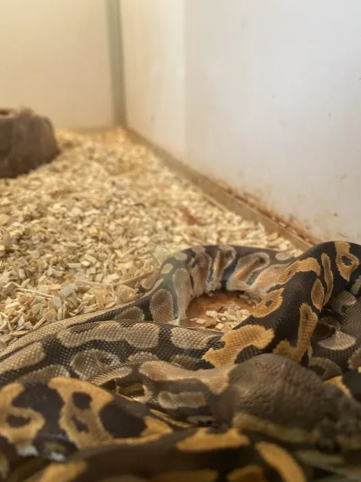 World of Pets LLC Picture 7