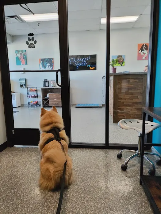 PetVet365 Pet Hospital Florence Picture 1