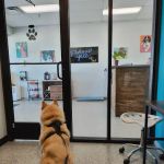 PetVet365 Pet Hospital Florence
