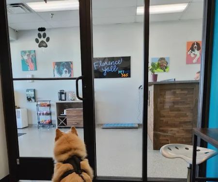 PetVet365 Pet Hospital Florence
