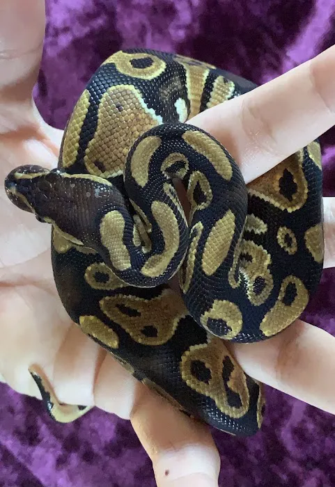 Petco Picture 4