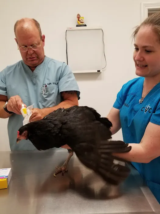 Crossroads Veterinary Clinic, LLC Picture 6