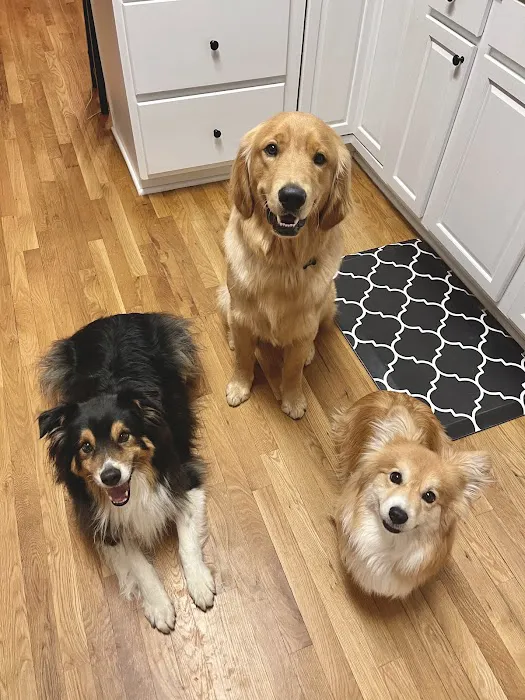Crossroads Veterinary Clinic, LLC Picture 8