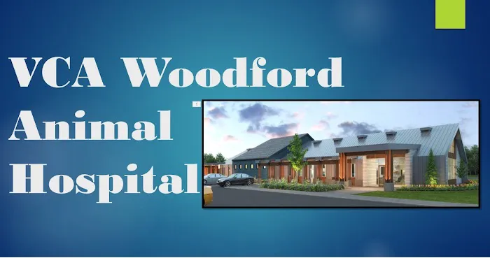 VCA Woodford Animal Hospital Picture 2
