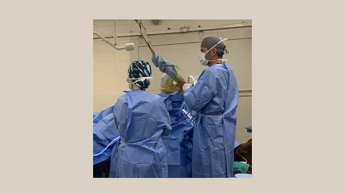 Bluegrass Equine Surgery Picture 2