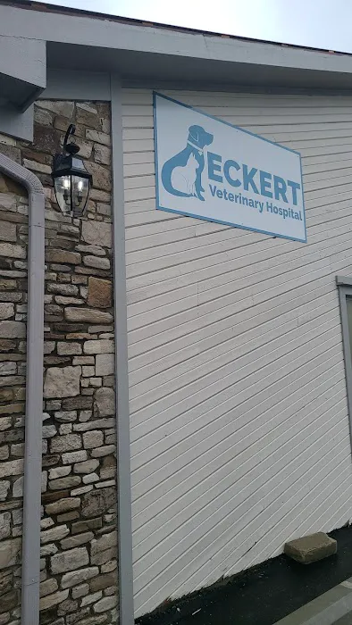 Eckert Veterinary Hospital Picture 9