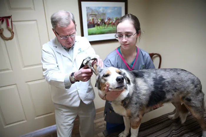 Greentree Animal Hospital Picture 4