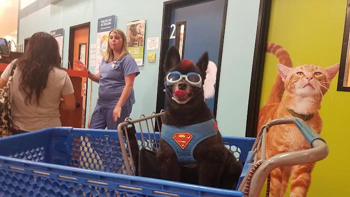 Banfield Pet Hospital Picture 10