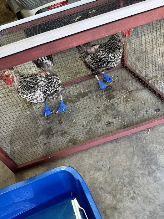 Dr. Prather’s Farm Animal Veterinary Services Picture 4