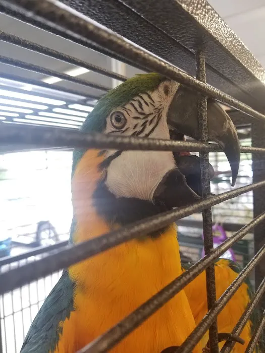 Delhi Pet Center Picture 7