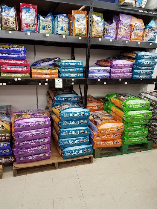 Delhi Pet Center Picture 3