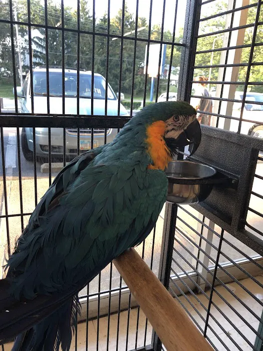 Delhi Pet Center Picture 10