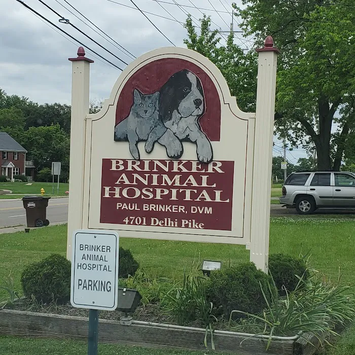 Brinker Animal Hospital Picture 8