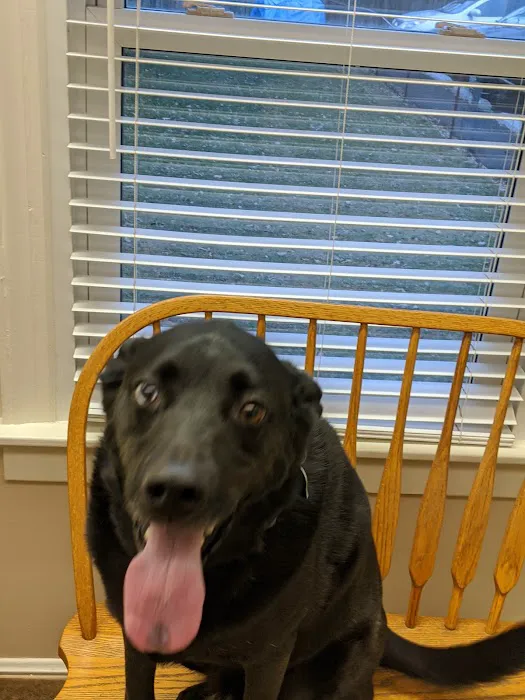 Brinker Animal Hospital Picture 5