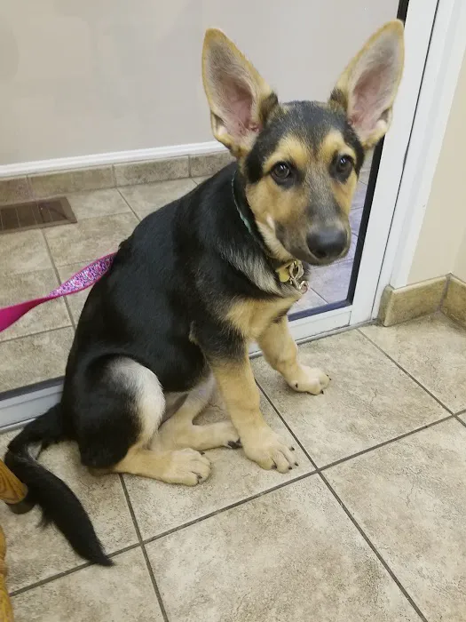 Brinker Animal Hospital Picture 7