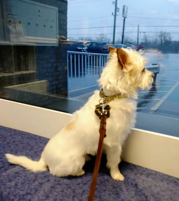 Oak Crest Animal Hospital Picture 7