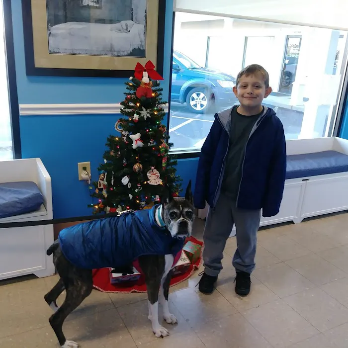 Oak Crest Animal Hospital Picture 8