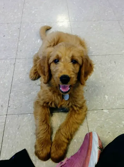Oak Crest Animal Hospital Picture 6