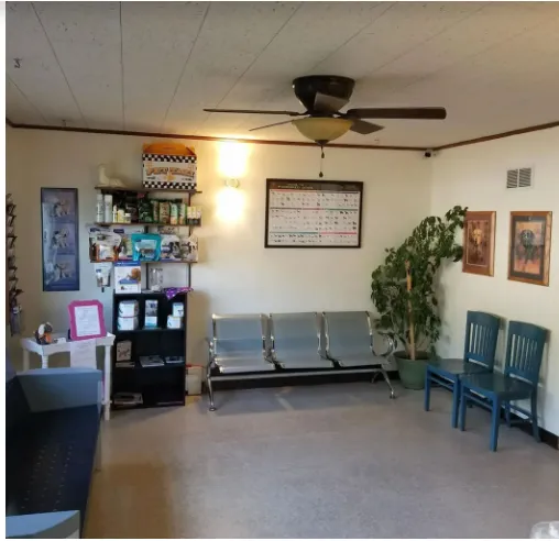Westside Animal Hospital Picture 7