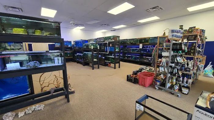 Blue Hook Aquatics Picture 10