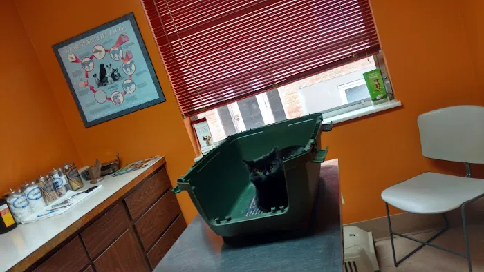 Oak Hills Animal Hospital Picture 1