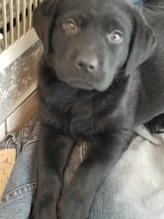 Oak Hills Animal Hospital Picture 5