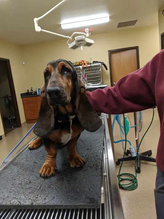 Grove Veterinary Clinic Picture 4