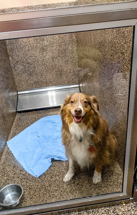 Grove Veterinary Clinic Picture 6