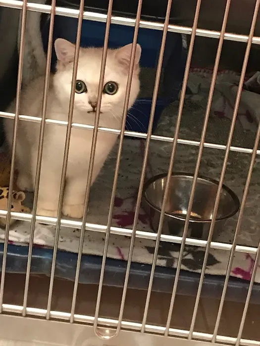 Animal Care Clinic Picture 9