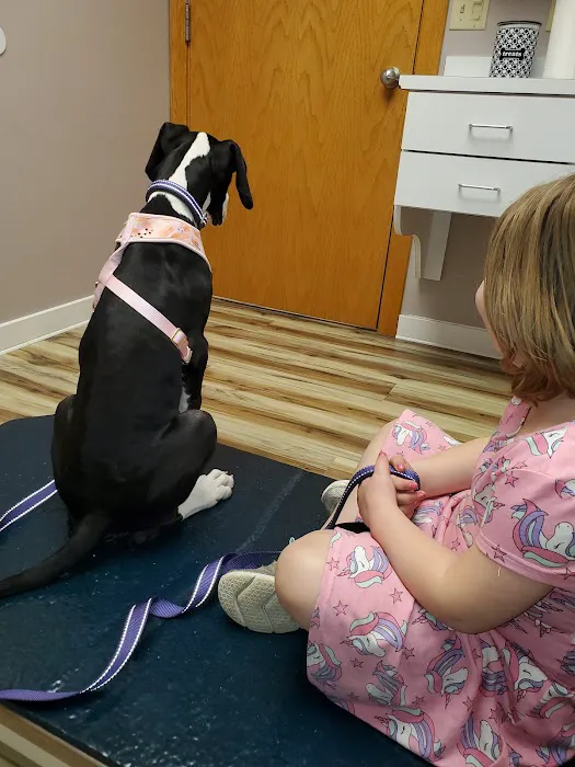 Animal Care Clinic Picture 5