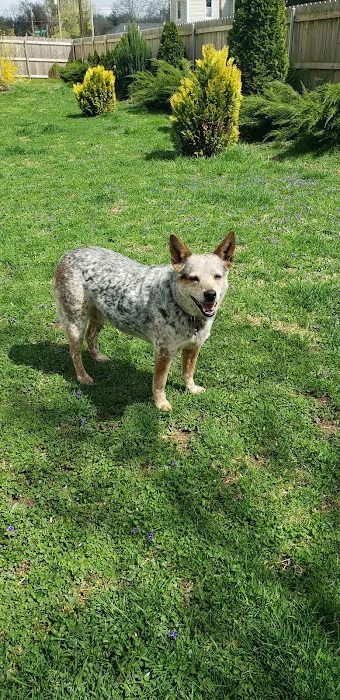 Animal Care Clinic Picture 3